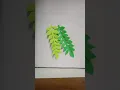 how to cut a perfect paper leaves leaves cutting craft