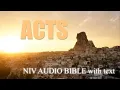 ACTS NIV BIBLE with text