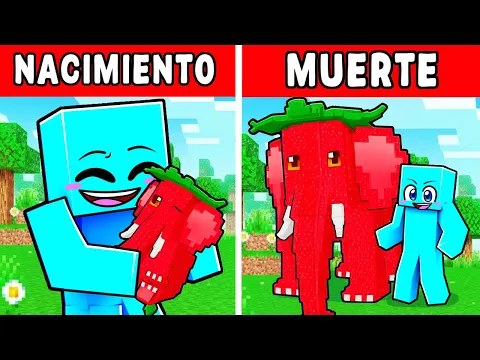 Video Thumbnail: Nacimiento a Muerte de Un STRAWBERRY ELEPHANT en Minecraft!