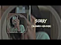 Sorry (Slowed+Reverb) - Neha Kakkar , Maninder Buttar