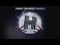 Timmy Trumpet - Oracle (Original Mix)
