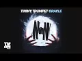Download Lagu Timmy Trumpet - Oracle (Original Mix)