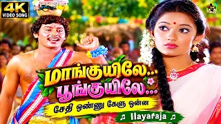 மாங்குயிலே பூங்குயிலே சேதி ஒண்ணு கேளு ஒன்ன | Maanguyilae Poonguyilae 4K Video Song | Ilayaraja