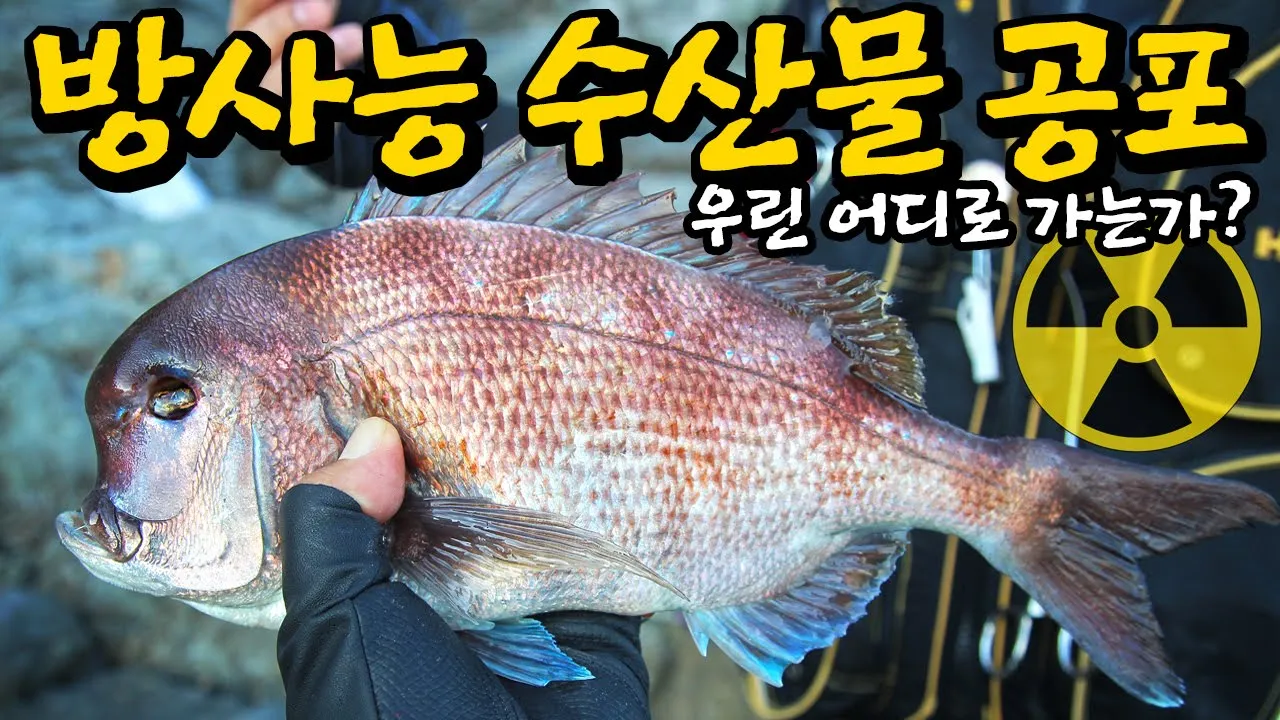 후쿠시마 원전사고 10년, 우리바다는 방사능에 얼마나 오염됐을까?
