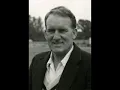 Victory Calypso- Cricket Lovely Circket