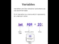 Basic Concepts of Programming languages Basic Programming Constructs data type variable loop