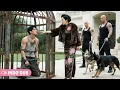 Download Lagu Miliarder pura-pura miskin untuk mencoba mereka, tapi dipermalukan seperti anjing oleh ibu mertua