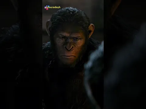 قصة اصحاب السبت 🐒🤯 | كيف مسخو ..