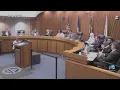 Is Norfolk council trying to silence Flock opponents