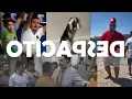 Funniest Dancing GIFs on the Internet Funny Dancing 2026