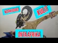 Download Lagu ASAL MULA WAYANG TERBUAT DARI KULIT ONTA