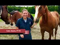 Dr Pol Presents - A Chat With Dr Lisa Jones