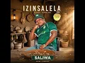 Isilamulakanjani feat  Izihlabani