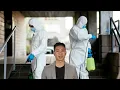 Scuity Bed Bug Exterminator Chicago - Bed Bug Removal 708-329-0321
