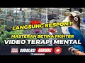 Download Lagu MASTERAN TERAPI MENTAL | SIMULASI GANTANGAN LOVEBIRD FIGHTER DEWASA