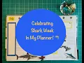Celebrating Shark Week In My Catchall Planner