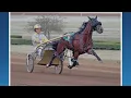 Horse drowns after competing in harness race at MGM Northfield Park