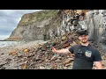 Lagu Hunting a Fresh Landslide for Fossils! Beautiful Beach Reveals Ammonites, Squid \u0026 More Marine Finds!