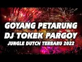 Download Lagu SPESIAL GOYANG PETARUNG !! DJ TOKEK PARGOY JUNGLE DUTCH FULL BASS TERBARU 2022