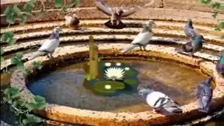 صبح الصباح    نجاح سلام دندنها