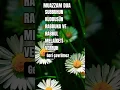 Download Lagu Acil dileği isteği olan okusun❤ #dinivideolar #amin 🕋🤲