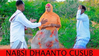 NABSI DHAANTO CUSUB DAAHIR CAGAYARE IYO SACIID AFEY IYO QAMAR DIAMOND NEW DHAANTO 2025 