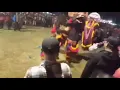 Legowo putro tawuran live