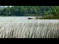 Gov Walz issues executive order to block mining near Boundary Waters