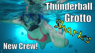 Bahamas: New Crew, Fish, Sharks! | Sailing Wisdom Ep 126