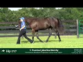 HIP 1717 Keeneland September Sale