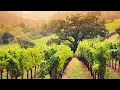 Discover 21 U S places that will remind you of Cities Around the World - AAA Travel