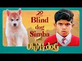 Download Lagu Oh My Dog - Blind dog Simba | Arun Vijay | Mahima Nambiar | Vinay Rai | 2D Entertainment