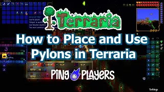 How to Place and Use Pylons in Terraria Fast Travel Guide