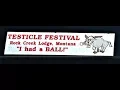 I Had A Ball At the Testicle Festival