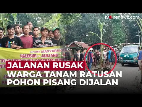 Kesal Tak Kunjung Diperbaiki, Warga Tanam Ratusan Pohon Pisang Dijalan Rusak