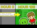 I Spent 100 HOURS Making a Game With NO GAME ENGINE