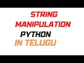 1 String Manipulation - Python