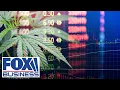 The Trump administration treats cannabis like an industry CB1 Capital CIO