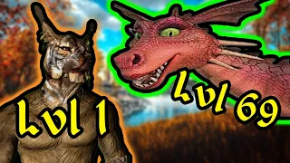 beating skyrim the way todd howard intended it