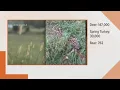 TWRA announces hunting season harvest