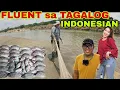 Download Lagu INDO ANG GALING MAGTAGALOG + MGA ISDA NAGLAPITAN sa amin
