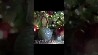 The New Year Series Of Shorts 