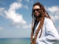 Download Lagu Alborosie - Diversity