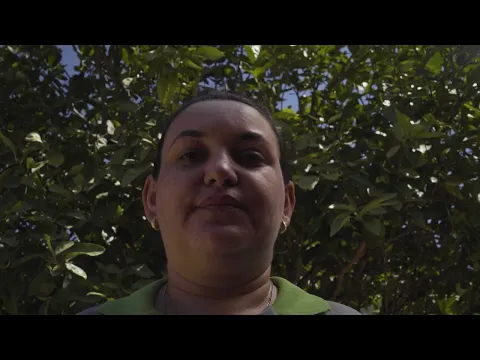 TRAILER - O PONTO DO MEL
