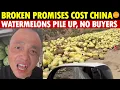 Download Lagu The Cost of Dishonesty in China: Watermelons Pile Up, Rot in the Fields, No Buyers Left