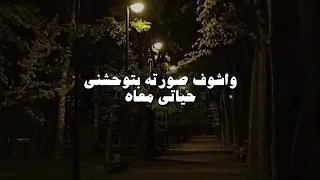 واشوف صورته بتوحشنى 