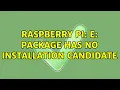 Raspberry Pi E Package has no installation candidate 4 Solutions