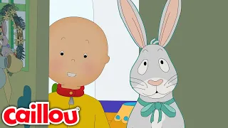 Caillou y el Conejo de Pascua | Caillou Español Castellano - WildBrain | Caricaturas para niños
