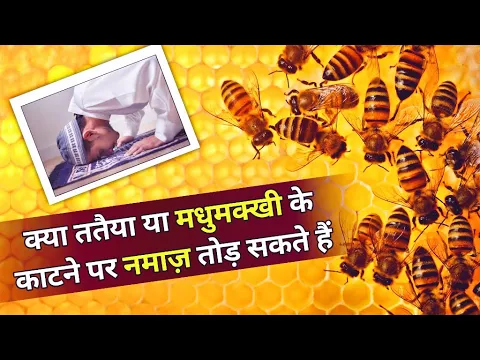 namaz me madhu-makhhi ya ततैया kat len to namaz tod sakte hain कीड़ा katne par नमाज़ तोडना kaisa