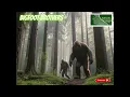 Download Lagu Bigfoot Brothers Spotted in the Woods!